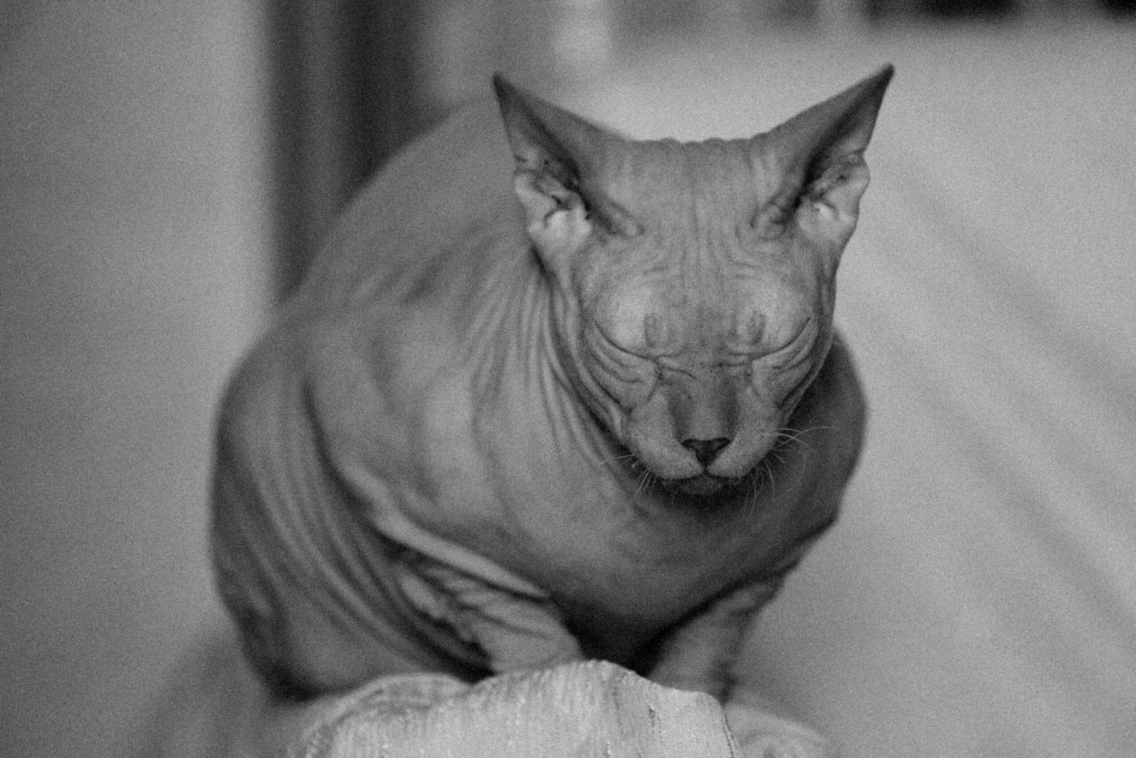 pexels alexeydemidov 11483215
